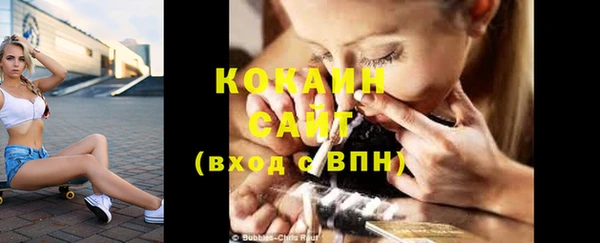 индика Балахна