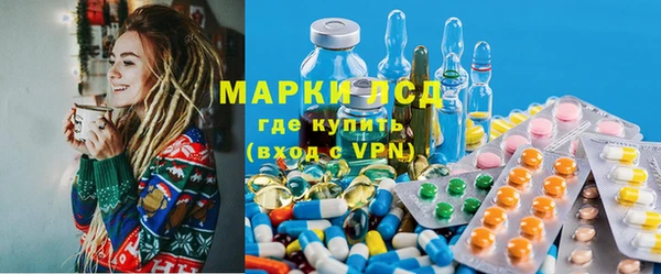 ПСИЛОЦИБИНОВЫЕ ГРИБЫ Баксан