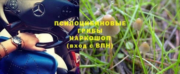 индика Балахна